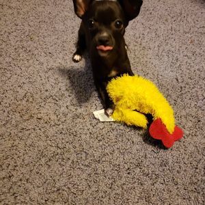 Meet your Posher, Connie